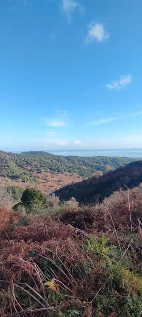 Panoramic breakfast, Santa Lucia Di Moriani - Key Points