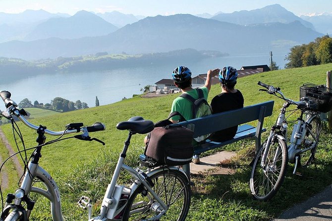 Panoramic E-Bike Tour with a Lake Cruise - Key Points