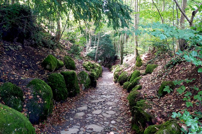 Panoramic E-Bike Tour with a Lake Cruise - The Historic Significance of William Tell at Hohle Gasse