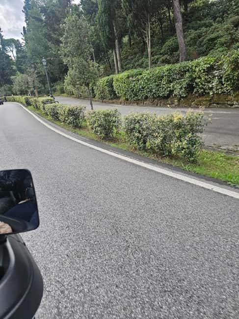 Panoramic Florence from Porta Romana to P.zzale Michelangelo - Booking Flexibility and Multilingual Guides