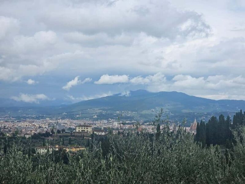 Panoramic Florence from Porta Romana to P.zzale Michelangelo - Who Will Appreciate This Tour Most?
