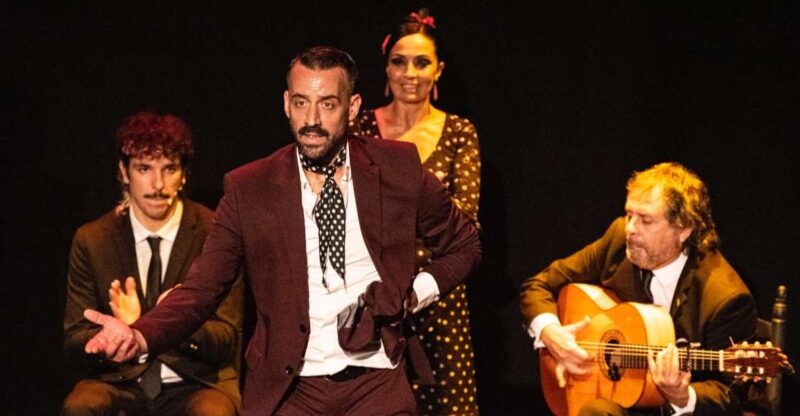 Panoramic Guadalquivir Cruise + Flamenco Show & Walking tour - Key Points