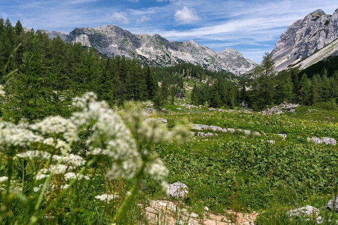Panoramic hike in Julian Alps - Reaching Debela Pe Mountain: The Summit Experience