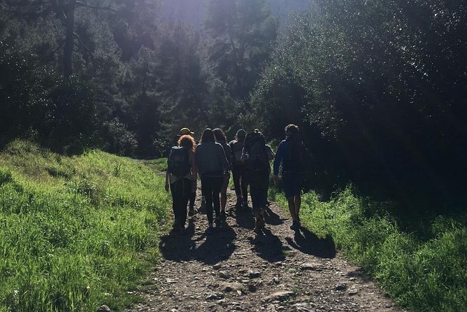 Panoramic hike on Marseille from Les Calanques - Eco-Tourism and Responsible Travel Focus