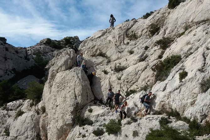 Panoramic hike on Marseille from Les Calanques - Reviews and Feedback Highlights