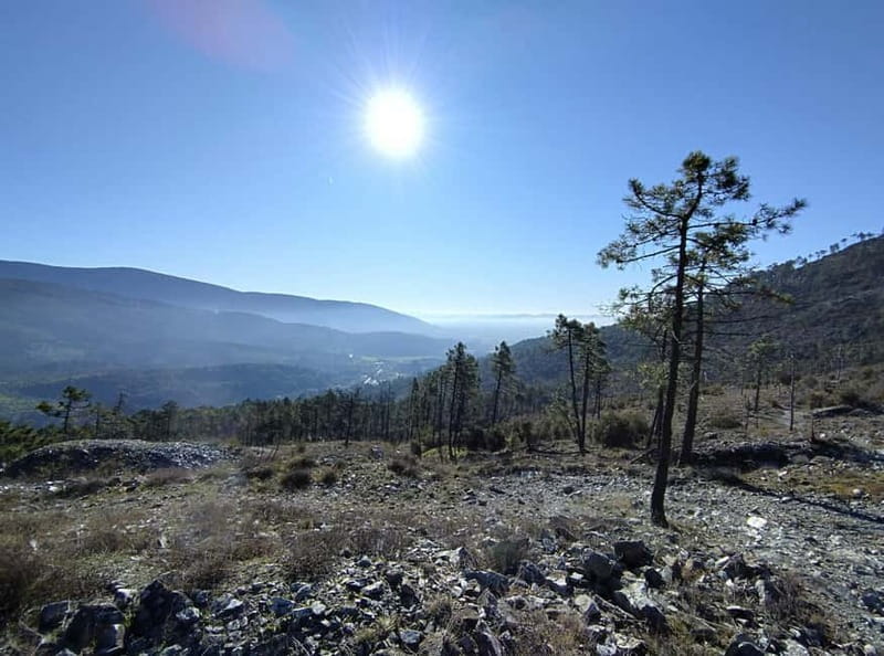 Panoramic hiking in the Florentine hills with Vincenzo - Exploring Fiesole’s Ancient Roots and Scenic Views