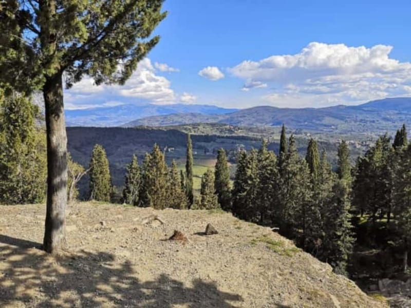 Panoramic hiking in the Florentine hills with Vincenzo - Walking Through Tuscan Hills to Monte Ceceri