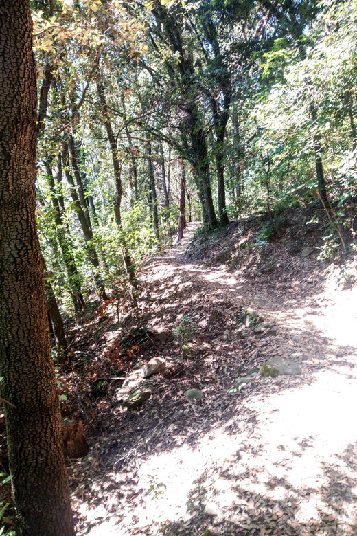 Panoramic hiking in the Florentine hills with Vincenzo - Scenic Break at Settignano
