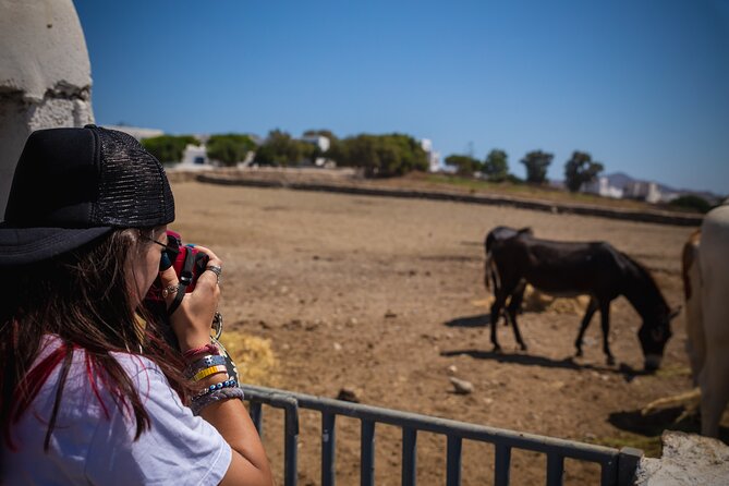 Panoramic Island Tour - Delving into Mykonos’ Cultural Heritage at the Museums and Monastery