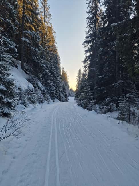 Panoramic Peaks  Oslos Best Fjord Views Hike - Exploring Oslo’s Highlands from the City Center