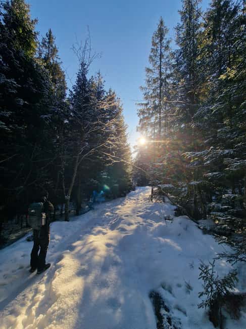 Panoramic Peaks  Oslos Best Fjord Views Hike - Transportation and Meeting Point Logistics