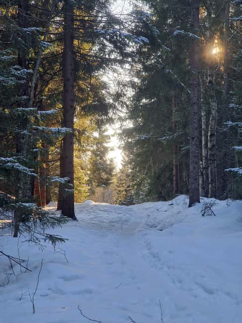 Panoramic Peaks  Oslos Best Fjord Views Hike - The Appeal for Nature and Photography Enthusiasts