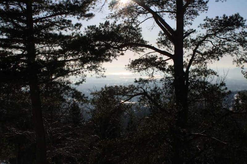 Panoramic Peaks  Oslos Best Fjord Views Hike - Limitations and Considerations