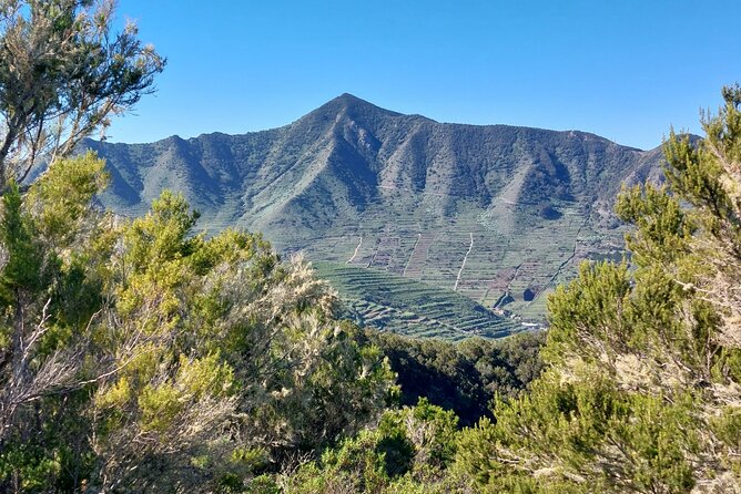 Panoramic route across the Teno rural Park in Tenerife - Learning About Tenerife’s Geology and Ecosystems