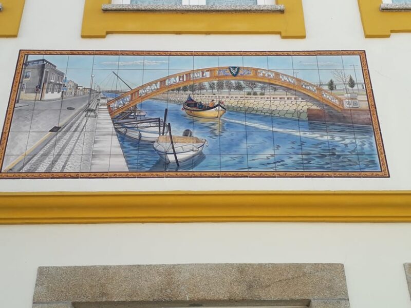 Panoramic Walk in Moliceiro 45 m + Walk in Aveiro 1 hour - Discovering the Art Nouveau Museum and Local Monuments