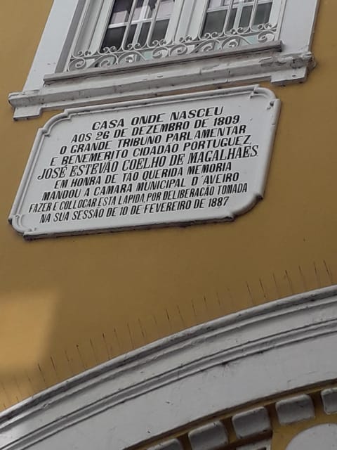 Panoramic Walk in Moliceiro 45 m + Walk in Aveiro 1 hour - Insights into Local Neighborhoods and Traditions