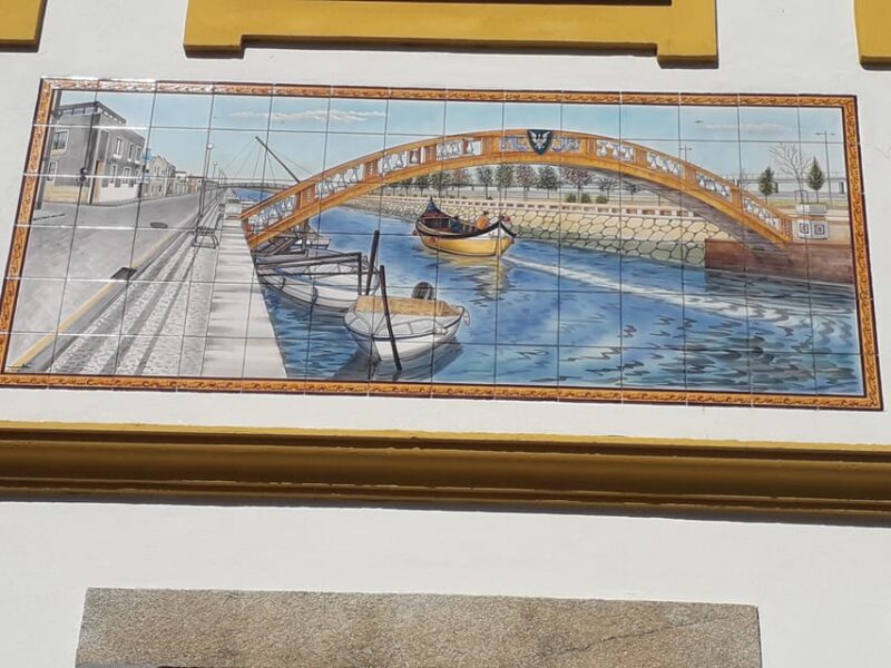 Panoramic Walk in Moliceiro 45 m + Walk in Aveiro 1 hour - Practical Details and Tour Logistics