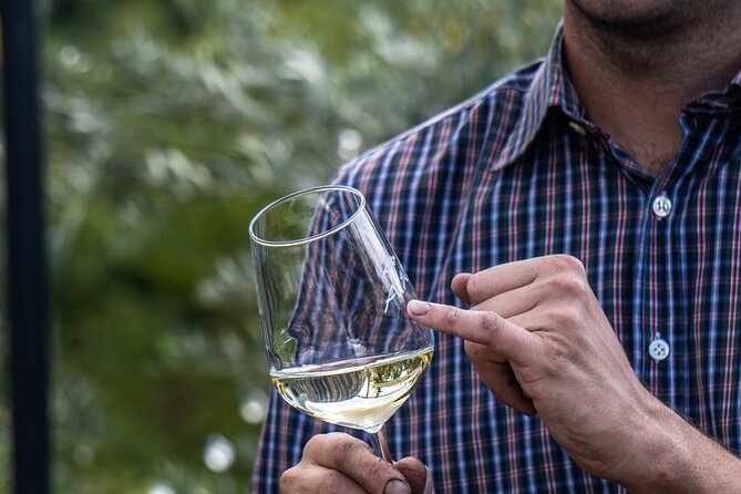 Panoramic wine tasting in Oltrepò Pavese - Exploring the Winery’s Single Vineyards and Labels