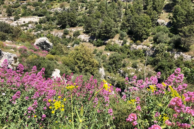 Pantalica Nature Reserve Walking Tour - Exploring the Necropolis of Pantalica