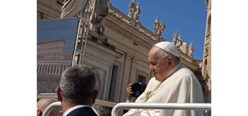 Papal Audience, Vatican Museums and Sistine Chapel Tour - Practical Details and Accessibility