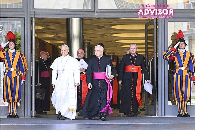 Papal Audience with Pope Leo XIV Exclusive Guided Experience - Practical Details and Group Size