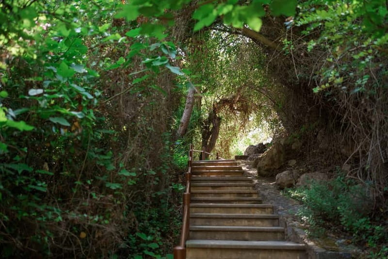 Paphos/Akamas: Blue Lagoon Bus & Boat Tour with Water Slide - Key Points