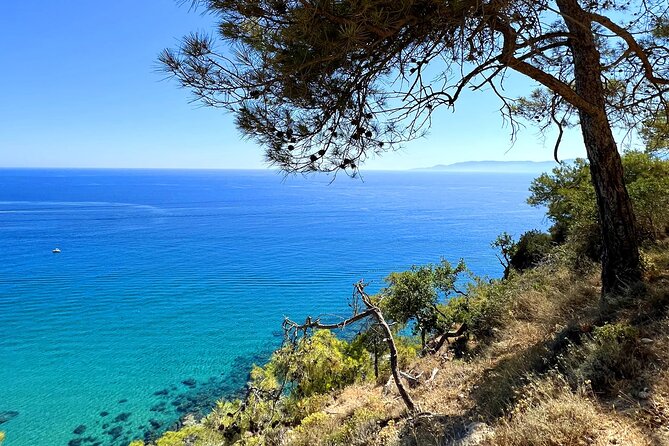 Paphos: Akamas Gorge & Turtle Bay & Donkey Farm Jeep Safari Tour - Animal Encounters at Dipotamos Donkey Farm