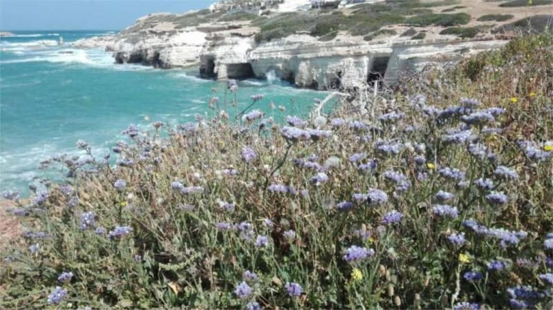 Paphos: Akamas, Waterfalls & Blue Lagoon of Aphrodite Tour - Exploring the Sea Caves Along Agiou Geogiou Road
