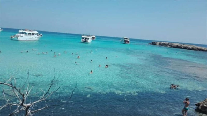 Paphos: Akamas, Waterfalls & Blue Lagoon of Aphrodite Tour - Passing Through the Akamas Forest and Banana Plantations