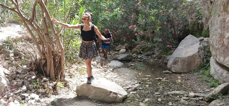 Paphos: Avakas Gorge & Turtle Bay Jeep Tour with Donkey Farm - Visiting Turtle Bay: A Protected Sea Turtle Habitat