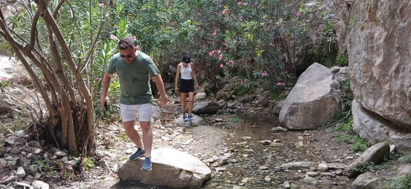 Paphos: Avakas Gorge & Turtle Bay Jeep Tour with Donkey Farm - Interacting with Donkeys at the Farm