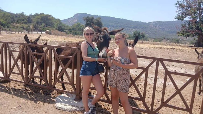 Paphos: Avakas Gorge & Turtle Bay Jeep Tour with Donkey Farm - Visiting the Sea Caves and Peyia