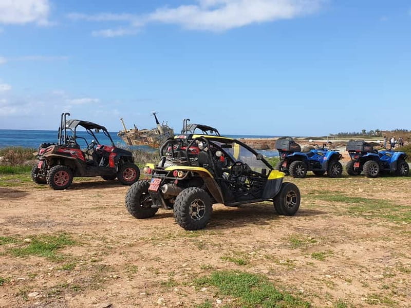 Paphos: Buggy Safari to Akamas Peninsula with Lunch - Key Points