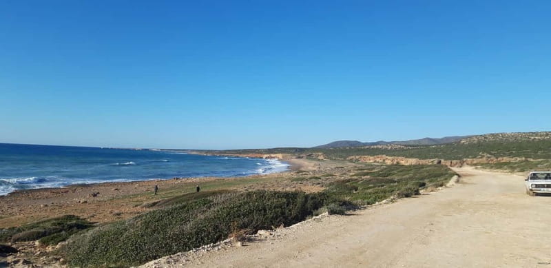 Paphos: Buggy Safari to Akamas Peninsula with Lunch - Navigating Off-Road Tracks into Akamas National Park