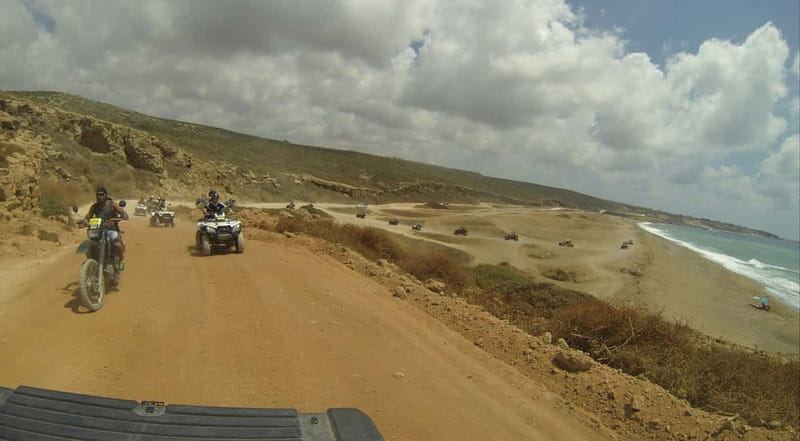 Paphos: Buggy Safari to Akamas Peninsula with Lunch - Exploring Lara Bay and Turtle Nesting Site
