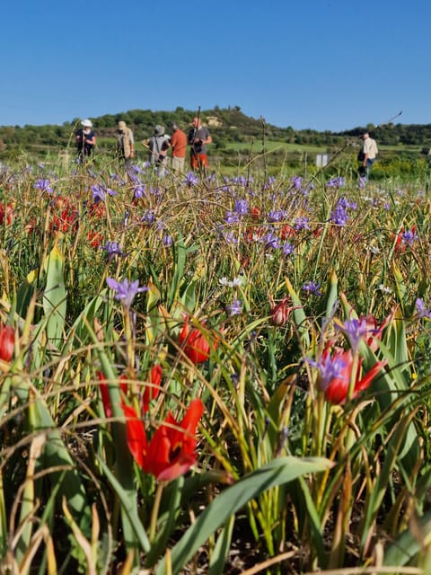 Paphos Cyprus Troodos Jeep safari in English in French too - Exploring the Mount Olympus Region