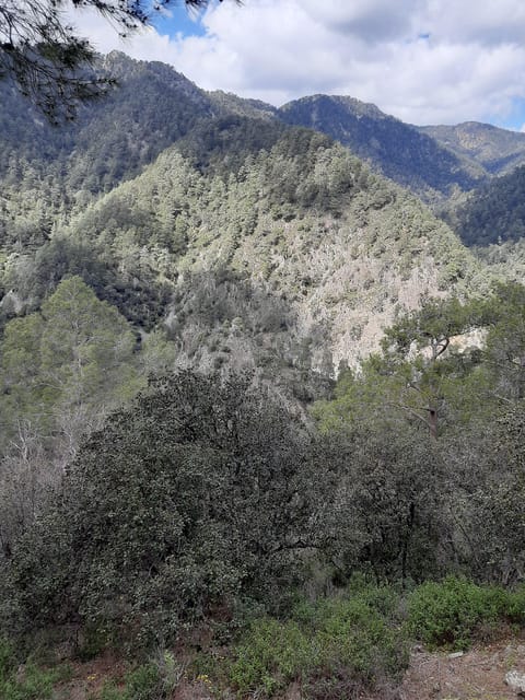 Paphos Cyprus Troodos Jeep safari in English in French too - Logistics and Group Size