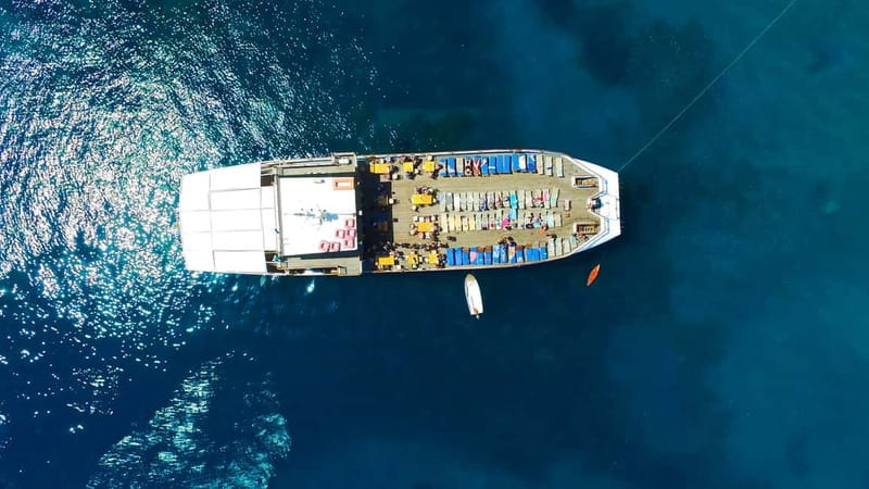 Paphos: Half-Day BBQ Cruise with Open Bar and Snorkeling - Unlimited Local Drinks and Live Music