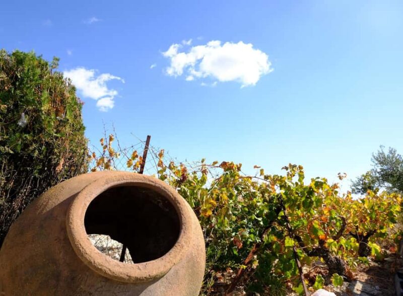 Paphos Half Day-Free Wine Tasting- Max 7p Group -Full A/C - Returning via a Winery Stop with Photos and Shopping