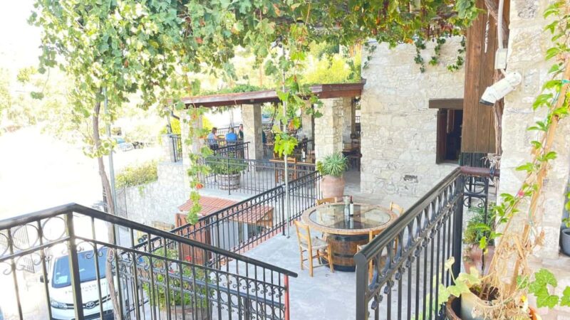 Paphos Hills Wine Tour: Tsangarides, Kolios & Vouni Panayia - Discovering Extra Virgin Olive Oil at the Local Farm