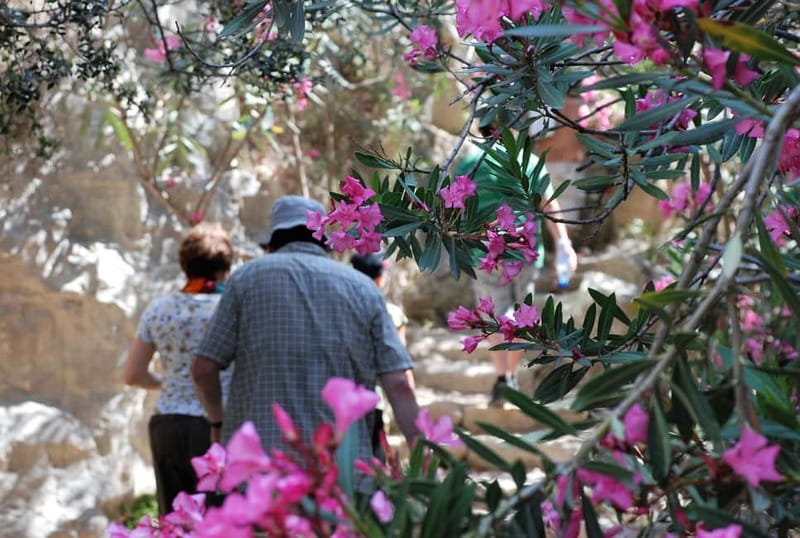 Paphos: Land Rover Jeep Safari Coastal Tour and Blue Lagoon - Visiting the Baths of Aphrodite