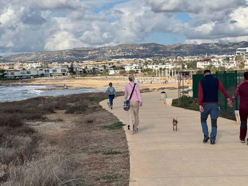 Paphos: Lighthouse Area Beach Walk with Rescue Dogs - Key Points