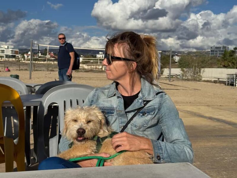 Paphos: Lighthouse Area Beach Walk with Rescue Dogs - Meeting and Interacting with the Rescue Dogs