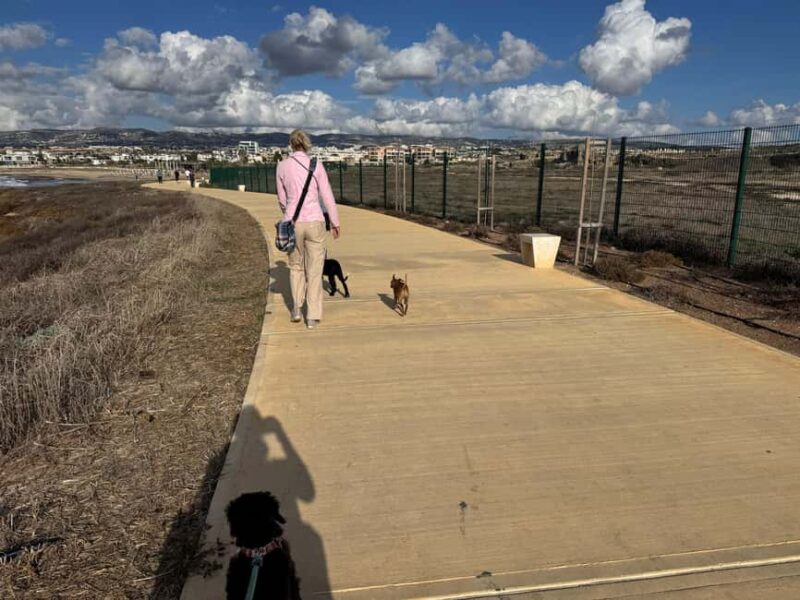 Paphos: Lighthouse Area Beach Walk with Rescue Dogs - Who Will Love This Experience?