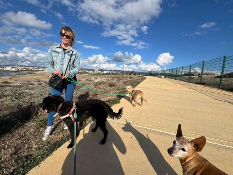 Paphos: Lighthouse Area Beach Walk with Rescue Dogs - Paphos Lighthouse Beach Walk with Rescue Dogs: Final Thoughts