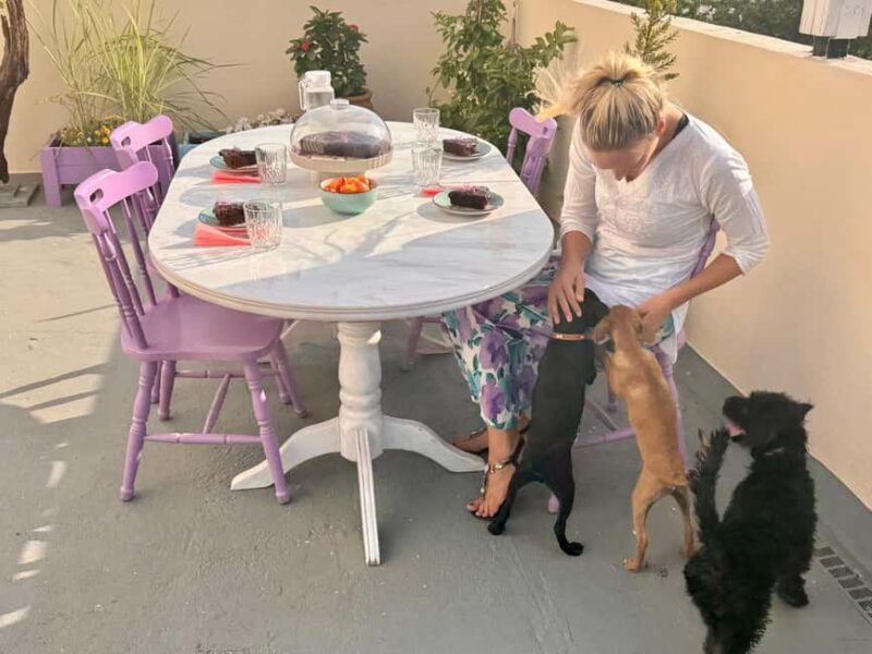 Paphos/ Peyia: Coffee, Cake, and Cuddles with Rescue Puppies - Support for Puppy Fosterers and Adoption Goals
