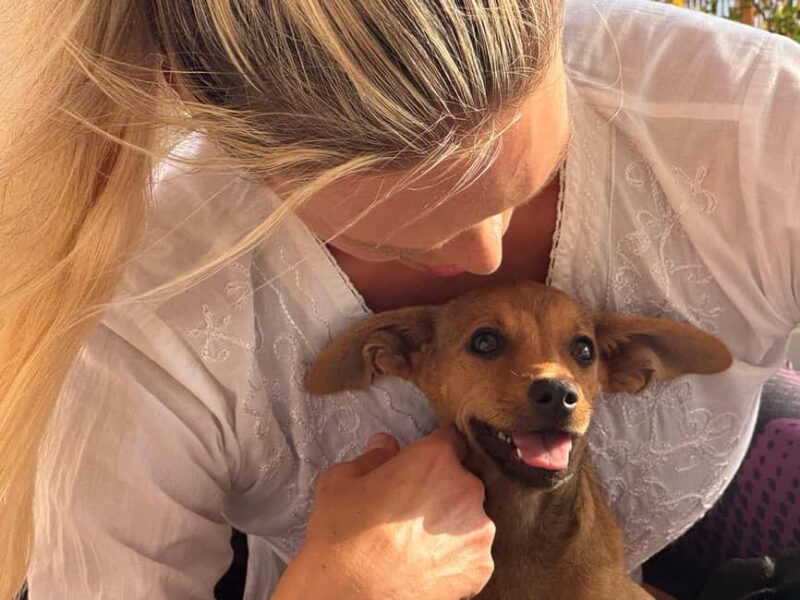 Paphos (Peyia): Mindful Yoga with Rescue Puppies - Unique features that set this tour apart