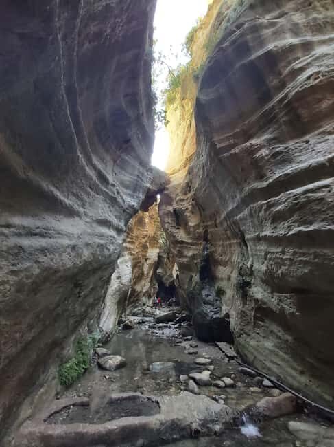 Paphos Private Tour: Akamas, Avakas, Turtle Bay & Winery - Discovering the Akamas Peninsula and Avakas Gorge