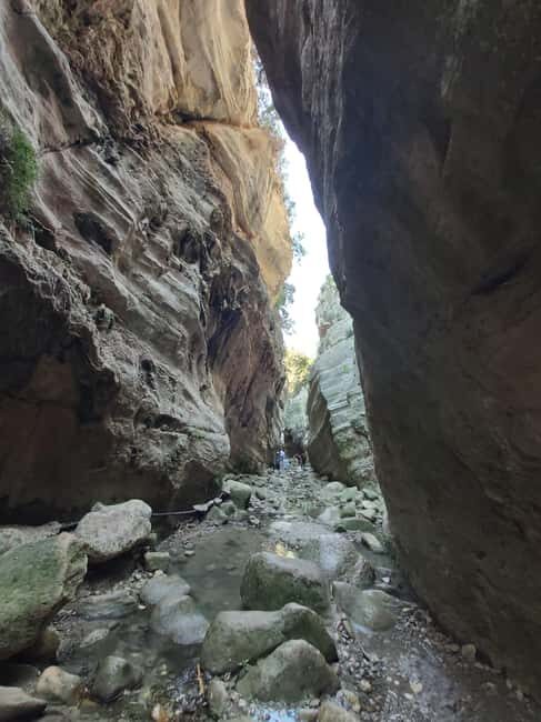 Paphos Private Tour: Akamas, Avakas, Turtle Bay & Winery - Lunch at Latchi Harbour and Local Flavors