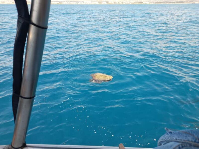 Paphos: The Yellow Glass-Bottom Boat Cruise Swim & Snorkel - Relaxing on Deck and Enjoying the Atmosphere